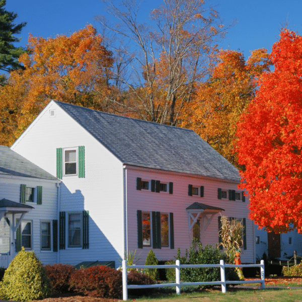 What businesses can operate from a self-storage unit? self storage for DIY Home Improvements